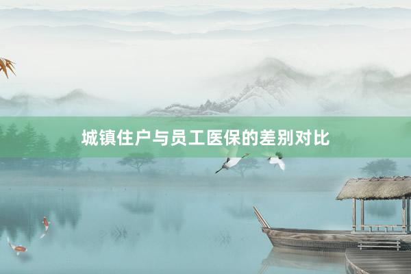 城镇住户与员工医保的差别对比